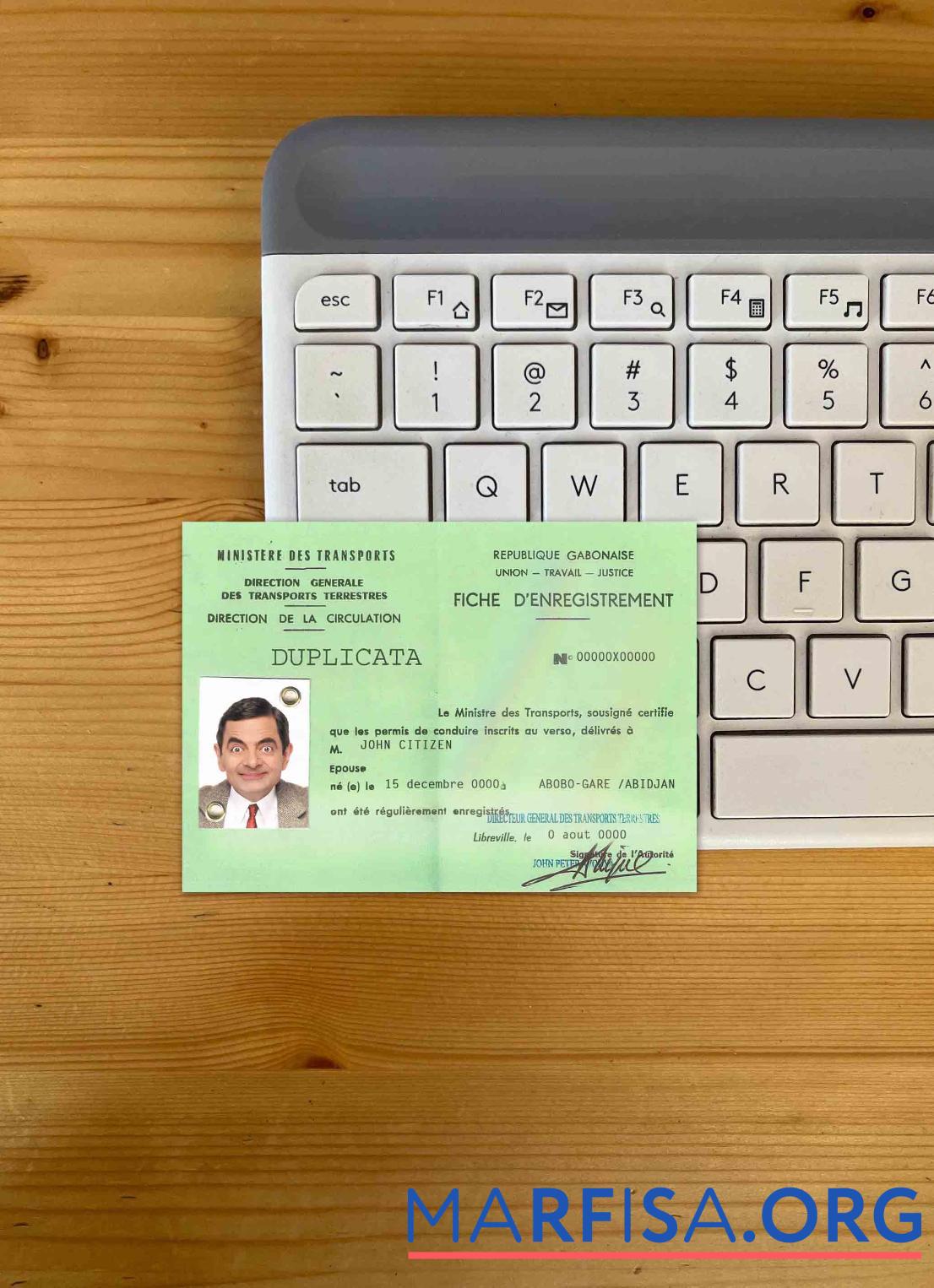 Blank Gabon dl photolook template